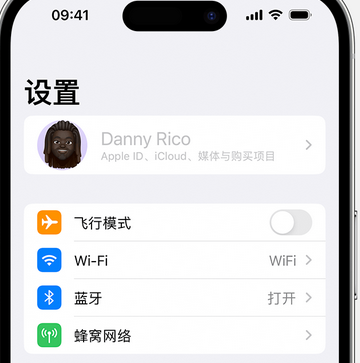 怀安appleID维修服务iPhone设置中Apple ID显示为灰色无法使用 