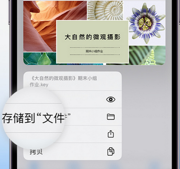 怀安apple维修中心分享iPhone文件应用中存储和找到下载文件