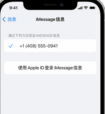 怀安apple维修iPhone上无法正常发送iMessage信息 