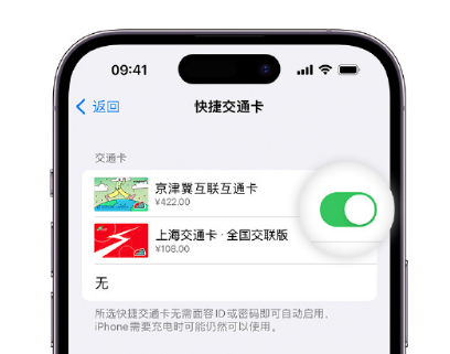 怀安apple维修点分享iPhone上更换Apple Pay快捷交通卡手绘卡面 