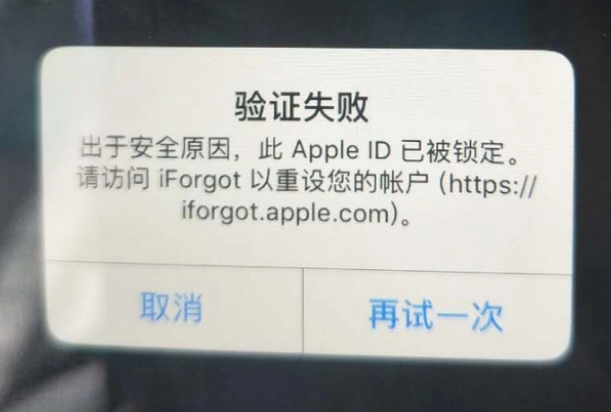 怀安iPhone维修分享iPhone上正常登录或使用AppleID怎么办 