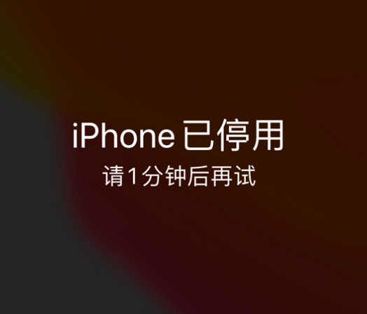 怀安苹果手机维修分享:iPhone 显示“不可用”或“已停用”怎么办？还能保留数据吗？ 