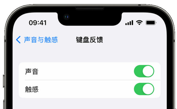 怀安苹果手机维修分享iPhone 14触感键盘使用方法 