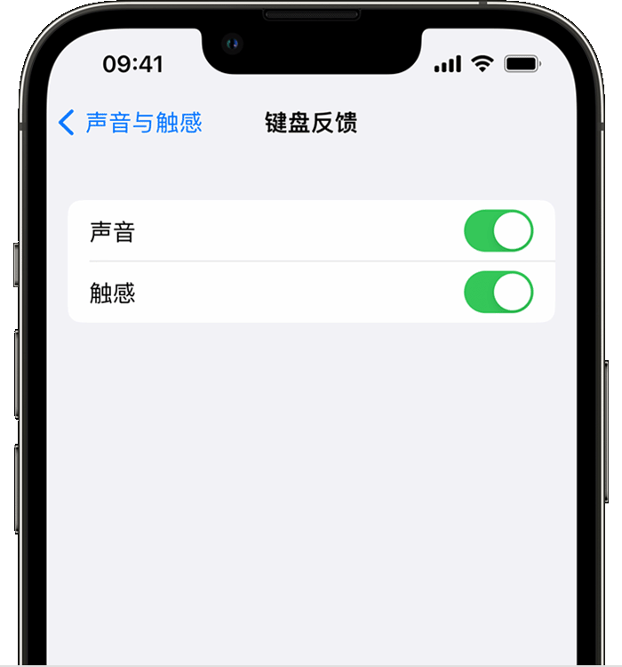 怀安苹果14维修店分享如何在 iPhone 14 机型中使用触感键盘 