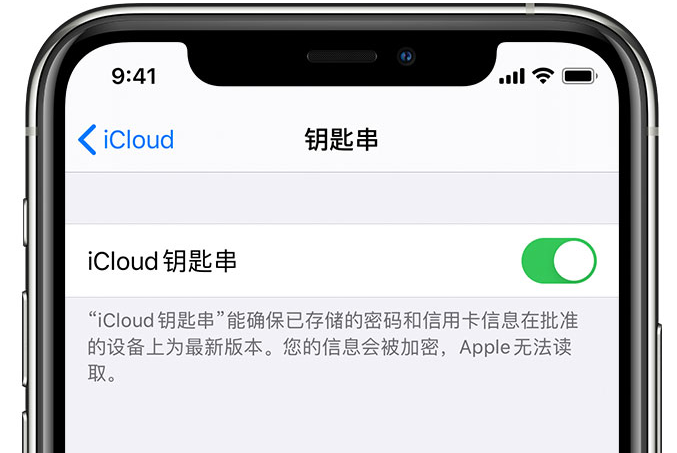 怀安苹果手机维修分享在 iPhone 上开启 iCloud 钥匙串之后会储存哪些信息 